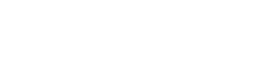 Finswimming im SC DHfK Leipzig e.V. Logo